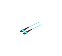 equip Pro - Cordon de raccordement - MTP multimode (F) pour MTP multimode (F) - 5 m - fibre optique - simplex - 50 / 125 microns - OM4 - turquoise