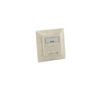 equip Professional - Prise à montage encastré - CAT 6a - STP - RJ-45 X 2 - blanc perle, RAL 1013 (pack de 5) - pour equip Universal Surface Mounting