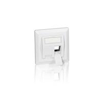 Equip Unterputzdose +Frontplatte 2 Keystone 45° RAL 9010 Polybeutel