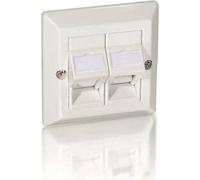 Equip Unterputzdose nur Frontplatte 2 Keystone 45° RAL 1013