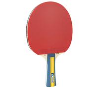 JOOLA Raquette de tennis de table Master