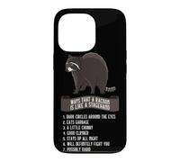 Équipe de scène machiniste comme Un Racoon Light Guy Coque pour iPhone 13 Pro