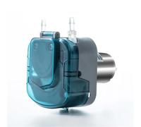 Équipement 700 ml/min 12 V Micro petite pompe péristaltique(BP600-S40A,12V)