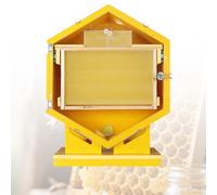 Équipement apicole:Kit de démarrage pour Ruche hexagonale Murale,dotée d'une fenêtre d'observation ; inclut Cadres et Plateaux, Parfait pour l'apiculture au Jardin et à Vocation pédagogique.