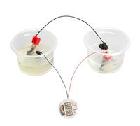 Équipement d ' apprentissage STEM Solution saline Horloge électronique Ensemble complet d ' équipement de laboratoire pour les jeunes scientifiques à partir de 8 ans Ensemble scientifique pour