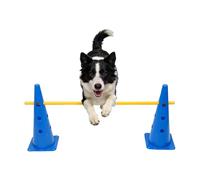 Équipement d'agilité canine Hauteur réglable et robuste