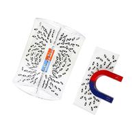 Équipement de laboratoire de physique interactif Appareil de démonstration de principes électromagnétiques Assemblage facile pour une utilisation éducative Modèle de lignes de champ visuel