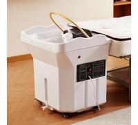 Équipement de spa portable avec circulation d'eau thermostatique pour salon et détente à la maison