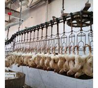 Équipement de transformation de volaille certifié Halal, norme en acier inoxydable poli miroir, dédié aux petites usines de transformation orientées vers l'exportation au Moyen-Orient