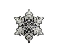 Équipement en forme de flocon de neige - Bandes de préhension pour snowboard | Tapis de marche pour planches de snowboard : pour sports d'hiver, skateboard, hockey, hommes, femmes et même