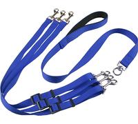 Equipement pour animaux de compagnie, trois têtes, costume pour chiens, poitrine, dos, laisse, réglable, une corde de remorquage, trois laisses, corde, nylon, bleu