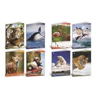 Équipement scolaire marque BLASETTI modèle CF10 QUADERNO ANIMALI 100G A4 10M