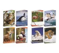 Équipement scolaire marque BLASETTI modèle CF10 QUADERNO ANIMALI 100G A4 4M