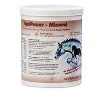 EquiPower - Mineral - avec Toutes Les vitamines et minéraux - 1500 g de Poudre dans Une boîte