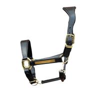 Equipride Licol anatomique en cuir - Rembourré super doux - Fixations dorées - Entièrement réglable (noir, lit double)