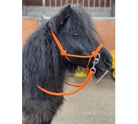 Equipride Licol en corde avec rênes pour une utilisation d'équitation sans mors complet à mini shet 5 couleurs (orange, mini Shetland)