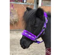 Equipride Licol en Nylon Imitation doublé imprimé Cheval avec Laisse Assortie Violet (Mini Shetland)