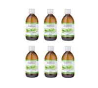Equisalud Bio Aloe Vera Premium Pack 6uds