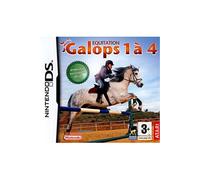Equitation Galop 1 à 4