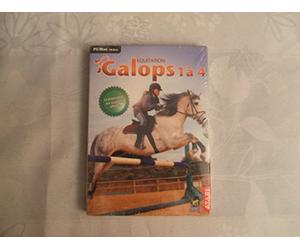 Equitation : galops 1 a 4