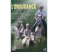 Equitation : L'endurance de l'éducation du jeune cheval à la course E