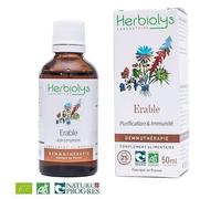 Erable Champêtre Macérât De Bourgeon Bio - Purification Et Immunité 50 Ml - Herbiolys