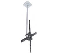 Support plafond inclinable et orientable Erard 049540 pour TV 55" noir G