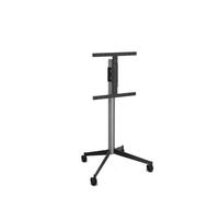 ERARD Pied TV 039240