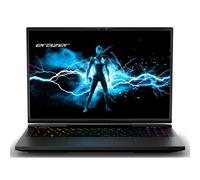Erazer Beast X40 Intel® Core™ i9 i9-14900HX Ordinateur portable 43,2 cm (17") Quad HD+ 32 Go DDR5-SDRAM 1 To SSD NVIDIA GeForce RTX 4080 Wi-Fi 6E (802.11ax) Windows 11 Home Noir