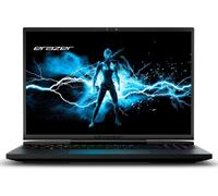 ERAZER Beast X40e 43,2cm (17 pouces 240Hz) QHD+ Gaming Laptop (Intel Core i7-14700HX, 16GB DDR5 RAM, 1TB SSD, GeForce RTX 4070 8GB GDDR6, Win 11 Home)