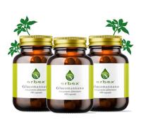 ERBEX - Complément alimentaire à base de glucomannane, 100 gélules, formule végétale - Pack de 3