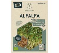 erbgruen Alfalfa - Graines de Microgreens/Pousses BIO - 1 sachet