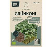 erbgruen Chou - Graines de Microgreens/Pousses BIO - 40 g