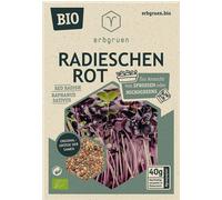 erbgruen Radis Rouge - Graines de Microgreens/Pousses BIO - 1 sachet