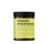 Erbology Poudre d'herbe de blé bio 90 g - 45 portions - Nettoyage du corps et soutien de la santé intestinale - Riche en chlorophylle et en fer - Provenance durable en Europe - Petit lot - Végétalien