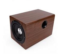 Erchineko Caisson de Basses alimenté 6,5 Pouces 100 W (Prise UE) | Haut-parleur de Caisson de Basses Indépendant, Basses Incroyablement Profondes et Design épuré pour le Cinéma Maison