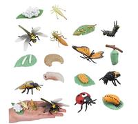 Ercoiong Les Jouets de Cycle de Vie pour Les Enfants, 4 Sets Un Insectes Les Jouets Vie comprennent Le Papillon, Les Abeilles Miel, la Libellule et la, Les Insectes en Plastique, Les Premiers