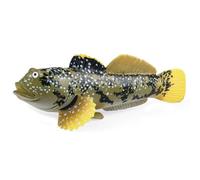 Ercoiong Sea Animal Toys 4.3x1.4x2.2 Figures d'animaux réalistes de Mudskipper pour Le Projet Scientifique et Le gâteau, Les premières créatures pédagogiques Toys for Kids Figures des Tout-Petits