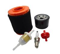 ERDHFG Filtre à Huile 937-05066 951-12690 adapté au Tracteur de Tondeuse à Gazon 737-05066 547cc XT1-LT42 XT1-LT46