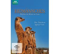 Erdmännchen - Erdmännchen Wächter der Wüste im Team