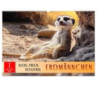 Erdmännchen - klein, frech, neugierig (Wandkalender 2026 DIN A2 quer), CALVENDO Monatskalender: Erleben Sie Wüstenwächter mit ihrem putzigem Charme.