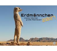 Erdmännchen - Kleine Wächter, große Abenteuer! - 2027 - Kalender DIN A3: Der Wandkalender mit den schönsten Erdmännchen-Fotografien für das Jahr 2027 im Format DIN A3 (ca. 42 x 30 cm)!