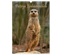 Erdmännchen / Terminplaner (Wandkalender 2026 DIN A3 hoch), CALVENDO Monatskalender: Putzige Wachmänner