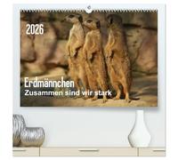 Erdmännchen - Zusammen sind wir stark (hochwertiger Premium Wandkalender 2026 DIN A2 quer), Kunstdruck in Hochglanz: Bilder vom Erdmännchen-Alltag