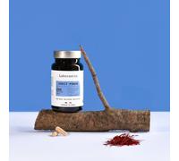 Erect power- cure érection de 1 mois