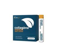 ERFO LIFE - Complément Alimentaire Anti-Âge - Collagène Marin PEPTAN® & Acide Hyaluronique - Réduit L'Apparence Des Rides - Formule Avancée Avec Vitamine C & Zinc - Sans Colorants - 10 Ampoules