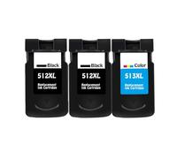 eRgDFS Cartouche d'encre Compatible 3PK pour PG512 CL513 Fonctionne avec MP230 MP240 MP250 MP270 MP480 MX350 IP2700(2BK 1C)