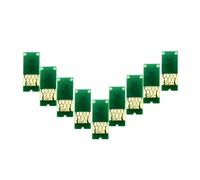 eRgDFS Chifle de réinitialisation Automatique Compatible Compatible avec Stylus Photo R3000 Cartridge T1571 T1579(9Colors)