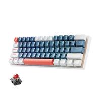 eRgDFS Clavier mécanique 61 Touches, Facteur de Forme 60%, rétroéclairé rvb, échangeable à Chaud, Filaire, Compatible avec PC de Jeu(US Red Switch BW)