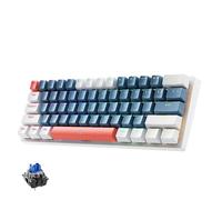 eRgDFS Clavier mécanique 61 Touches, Facteur de Forme 60%, rétroéclairé rvb, échangeable à Chaud, Filaire, Compatible avec PC de Jeu(US Blue Switch)